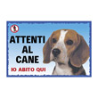 CARTELLO BEAGLE